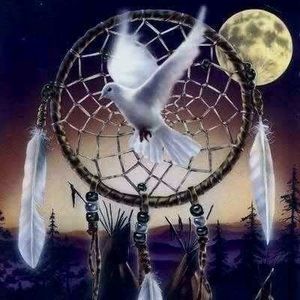 Meet your Posher, Paul